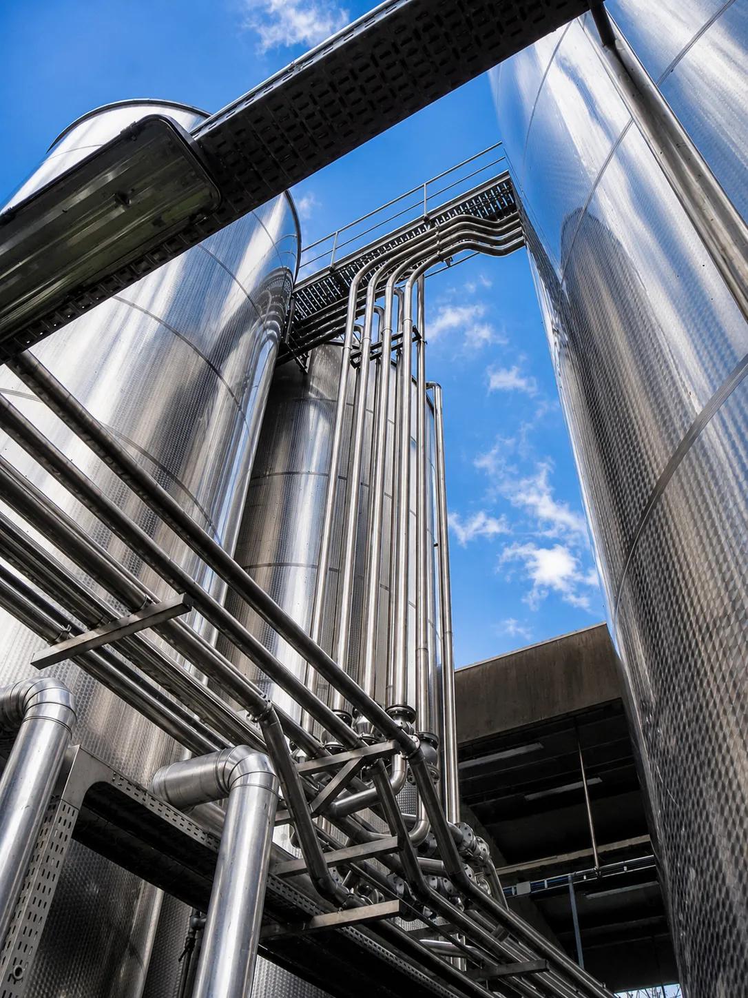Serbatoi verticali in acciaio inox con tubazioni di collegamento per industria alimentare