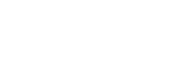 logo dirani orizzontale